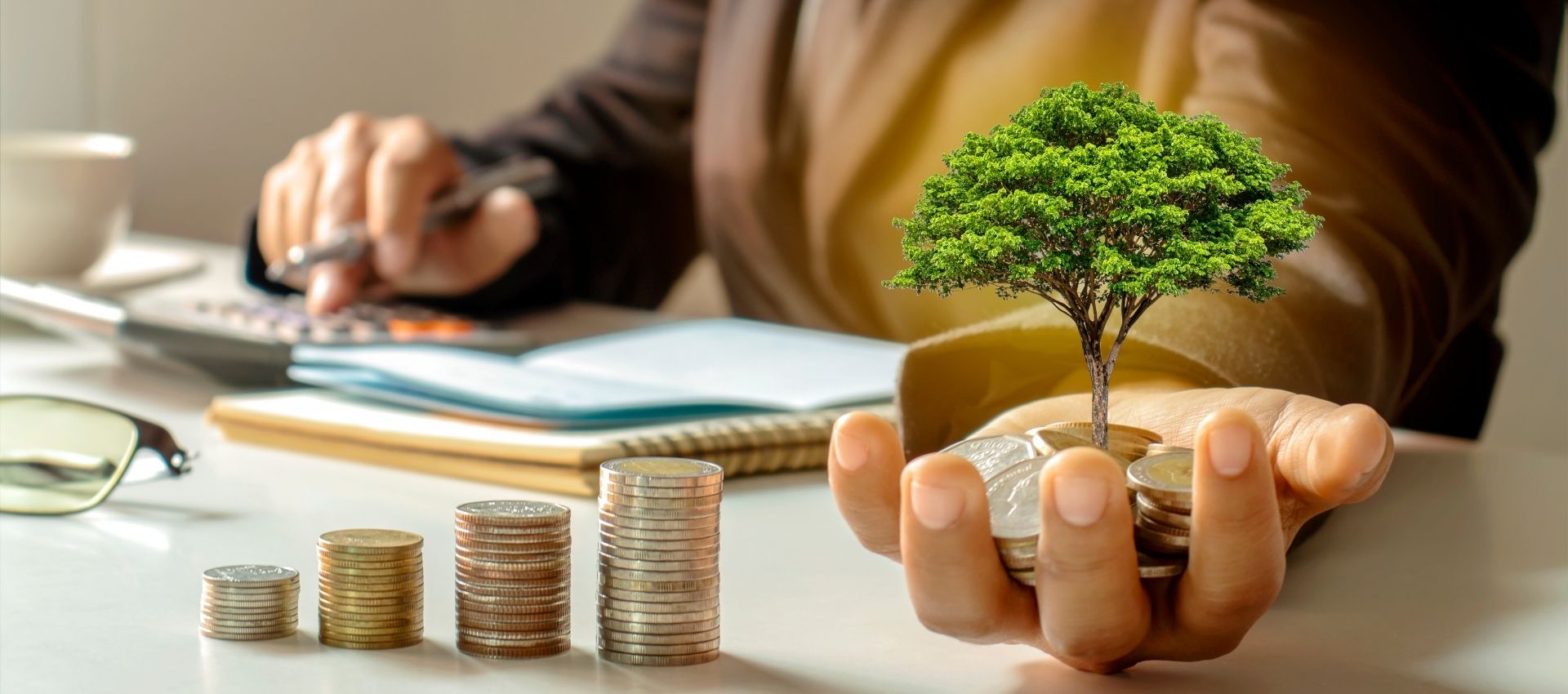 Investment Support_