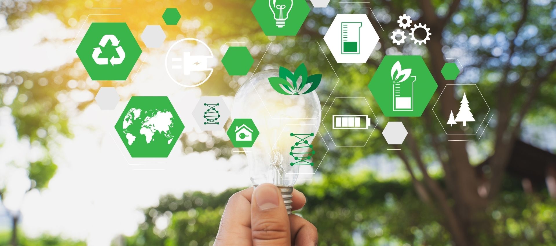 Sustainable Resource Management